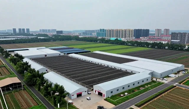 市场变化下企业名录查询的多维应用场景解析